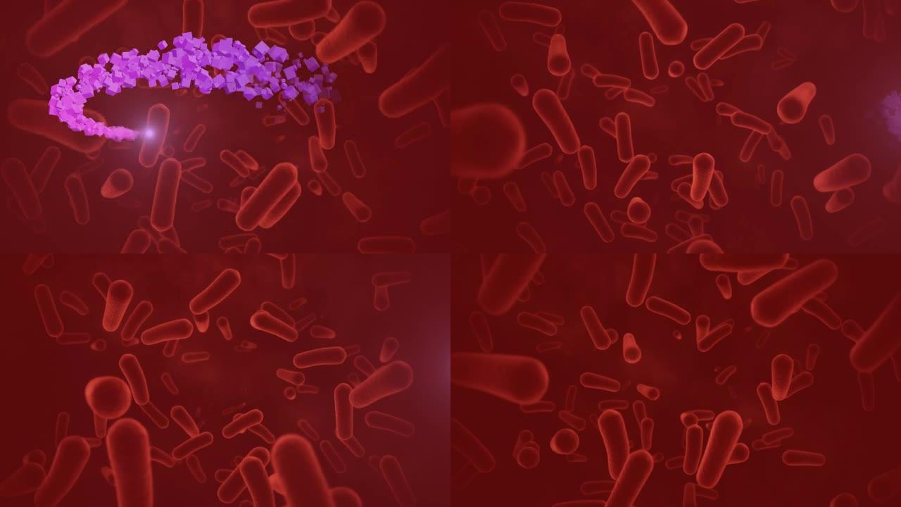 红色背景上移动细胞的动画