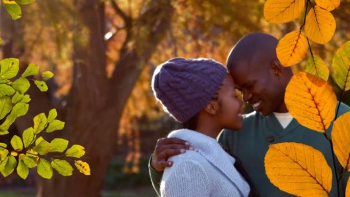 秋叶的动画落在公园里快乐的非洲裔美国夫妇上