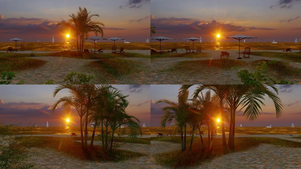 热带野生海滩上的棕榈树，映衬着令人惊叹的日落