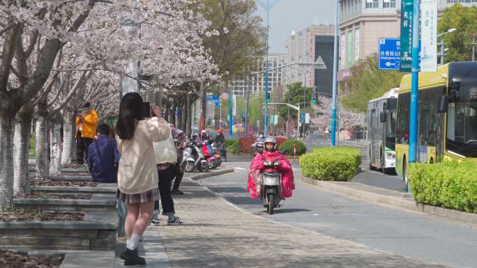 城市春天街道