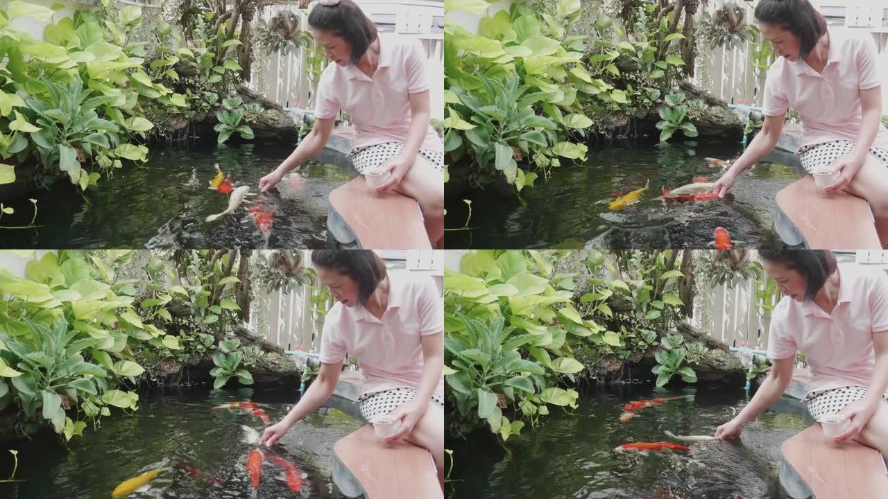 黑头发的亚洲女孩在前院的一个小池塘里用手喂锦鲤或花式鲤鱼