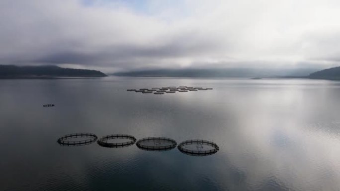 山湖有圈笼的养鱼业和鳟鱼养殖场