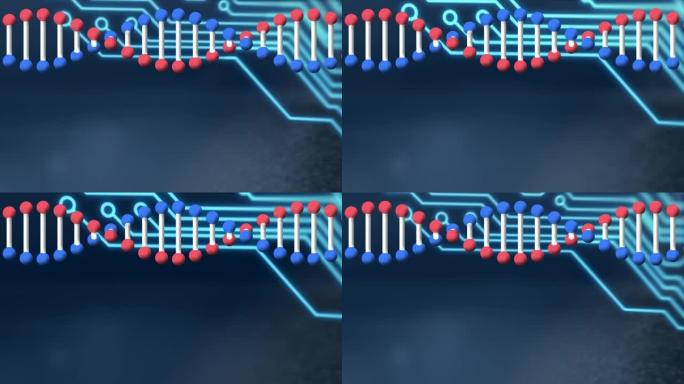 在计算机电路板上旋转dna链的动画