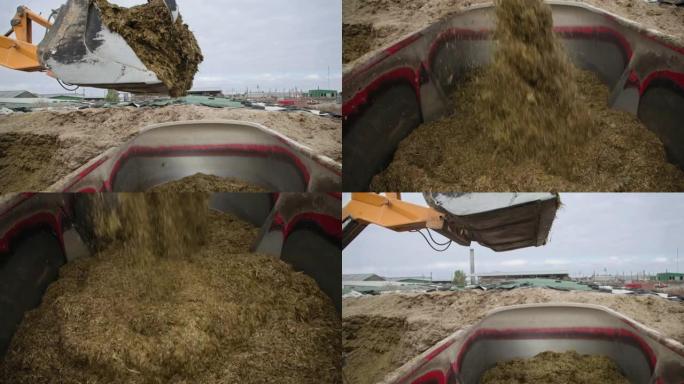 饲料喂养动物的准备，挖掘机铲斗将复合饲料倒入大型搅拌机中，农场过程的特写