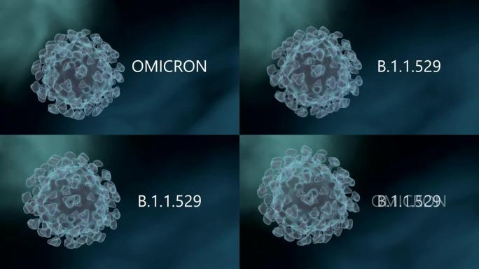 感染性SARS-CoV-2 omicron病毒细胞的显微镜观察