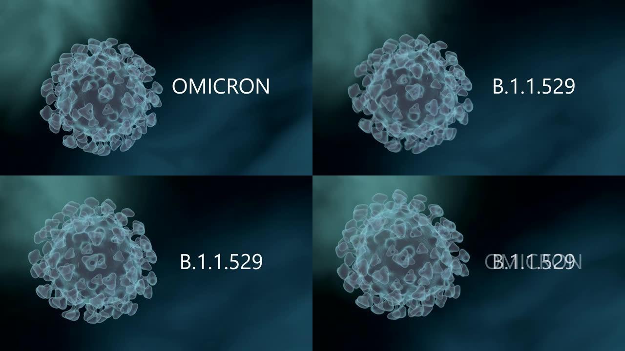 感染性SARS-CoV-2 omicron病毒细胞的显微镜观察