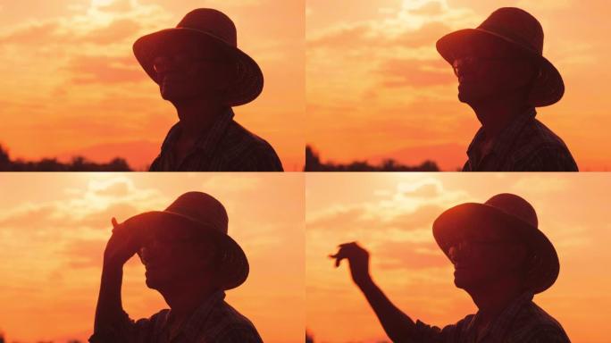 日落时站在稻田里的高级农民的剪影。一位戴着帽子的老人在金色的天空背景上向远处望去。