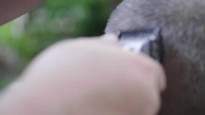 亚洲男子正在亚洲高级男子的头上修剪头发。