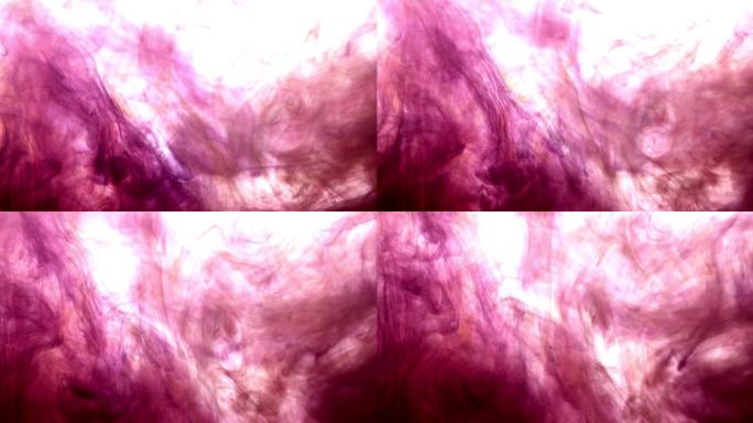 水中油墨，彩色抽象爆炸