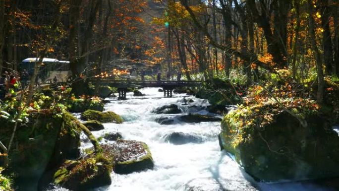 Oiraase溪流 (oiraase keiry ū) 是青森县风景如画的山溪，是日本最著名和最受欢