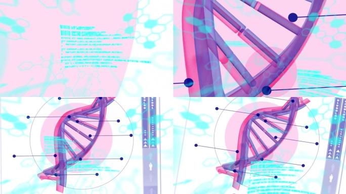 医学数据处理和dna链纺丝动画