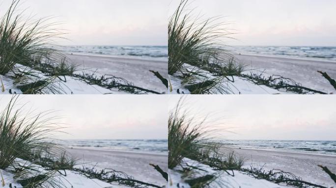 在寒冷的冬日，从海岸悬崖斜坡上观察到波涛汹涌的波罗的海，那里积雪覆盖着枯干的草丛和灌木，被风吹动。