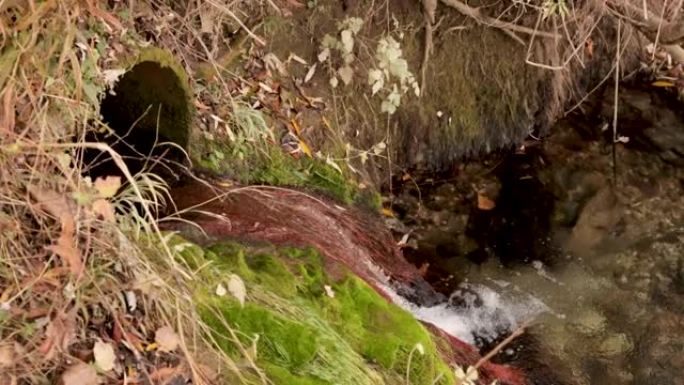 从古老的苔藓长满的水渠流入河流的视频蒙太奇