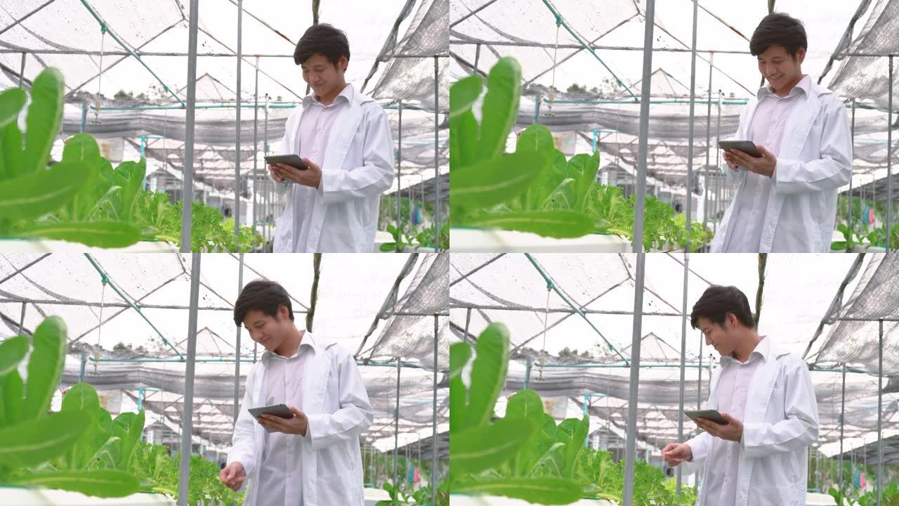 亚洲科学家通过写下平板电脑，农业工业的信息，检查了农民水培农场的蔬菜有机沙拉和生菜的质量。