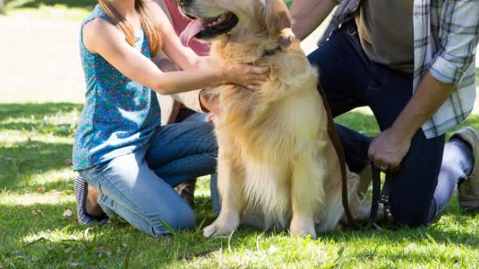快乐的高加索父母和女儿在公园抚摸他们的金毛猎犬宠物狗