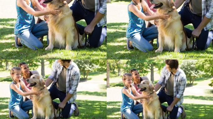 快乐的高加索父母和女儿在公园抚摸他们的金毛猎犬宠物狗