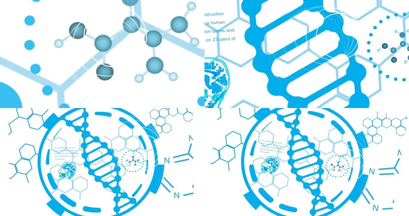 dna链纺丝上的科学数据处理动画