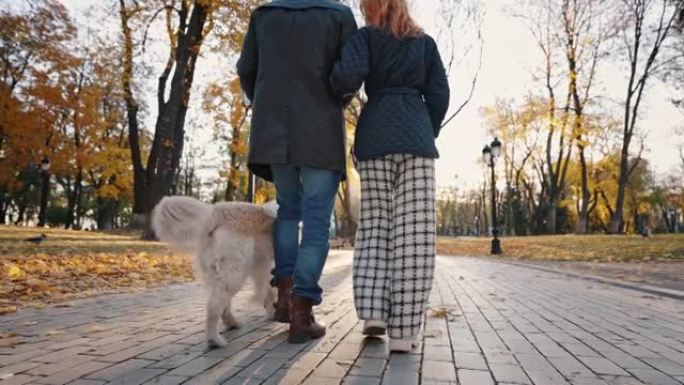 活跃的家庭周末。在秋天的城市公园里，无法识别的夫妇与拉布拉多狗一起散步的特写镜头，后视图