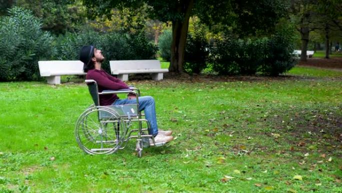 残疾人-独自在公园里截瘫的人观察自然