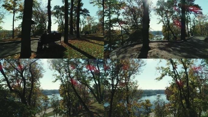 沿着河岸阳光明媚的秋季公园walley鸟瞰图