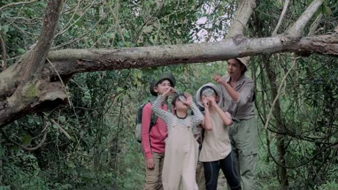 6-12岁的教师和男女学生在热带森林组织了实地考察。
