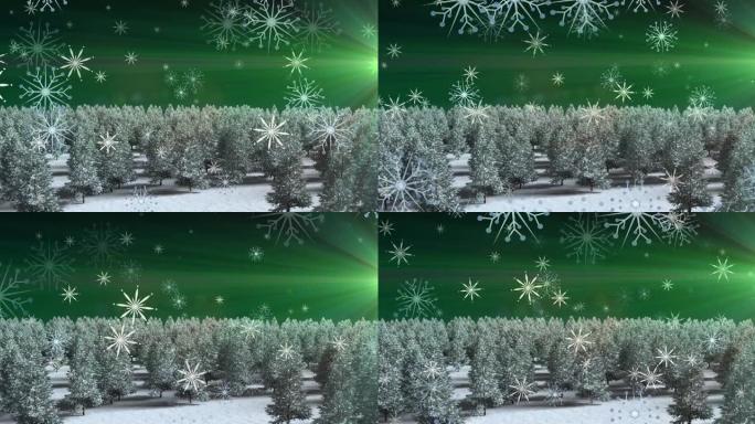 圣诞节雪花落在积雪覆盖的田野和树木上的动画