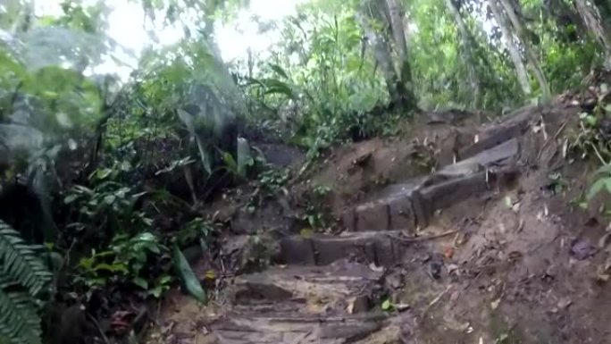 在巴西海岸的阴雨天，在一条泥泞的小径上徒步旅行，穿过雨林