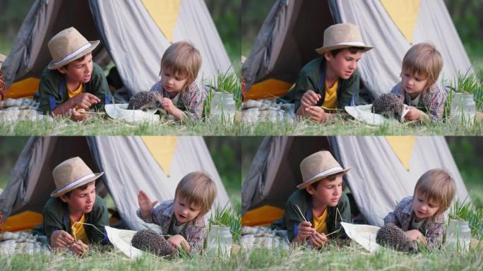 童年，可爱的男孩子在户外与刺猬玩耍，躺在树丛中的草坪上