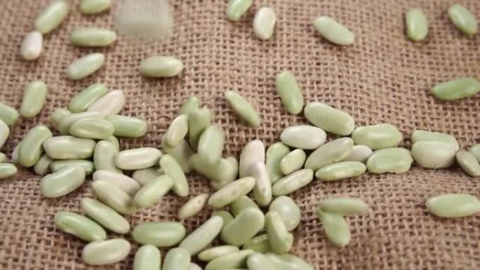 未煮熟的Verdina bean (来自阿斯图里亚斯和加利西亚) 落在质朴的粗麻布上。生干豆科植物