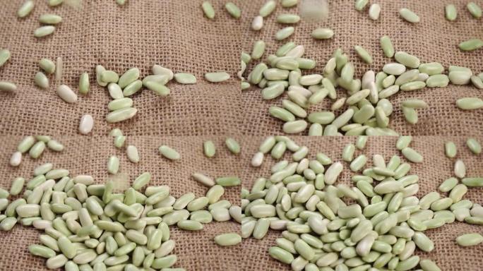 未煮熟的Verdina bean (来自阿斯图里亚斯和加利西亚) 落在质朴的粗麻布上。生干豆科植物