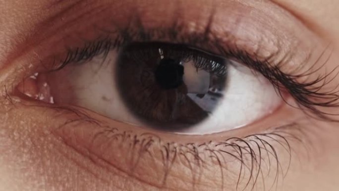 眼睛宏观人类视力开放棕色虹膜闪烁