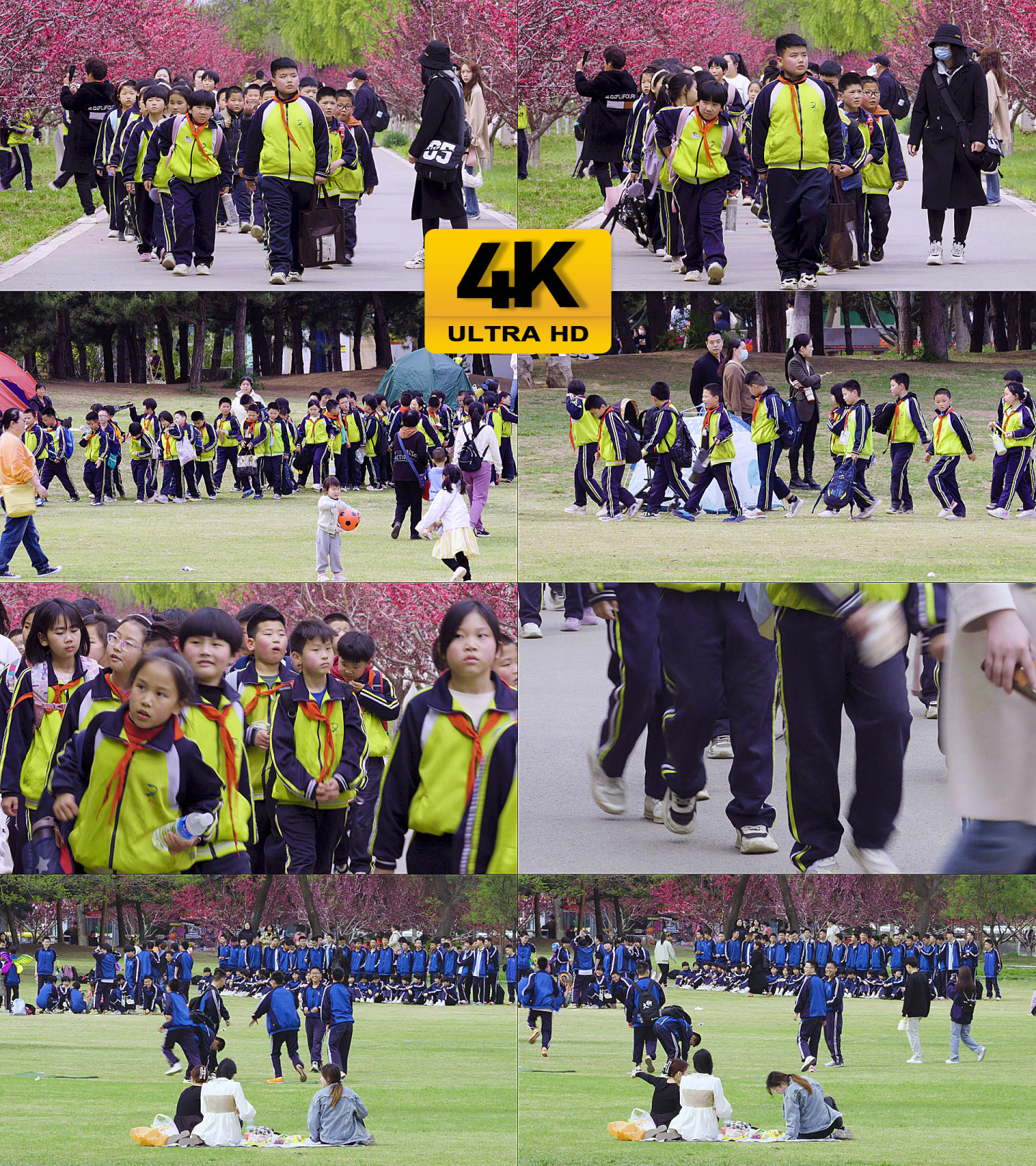 原创4k中小学生组织春游活动