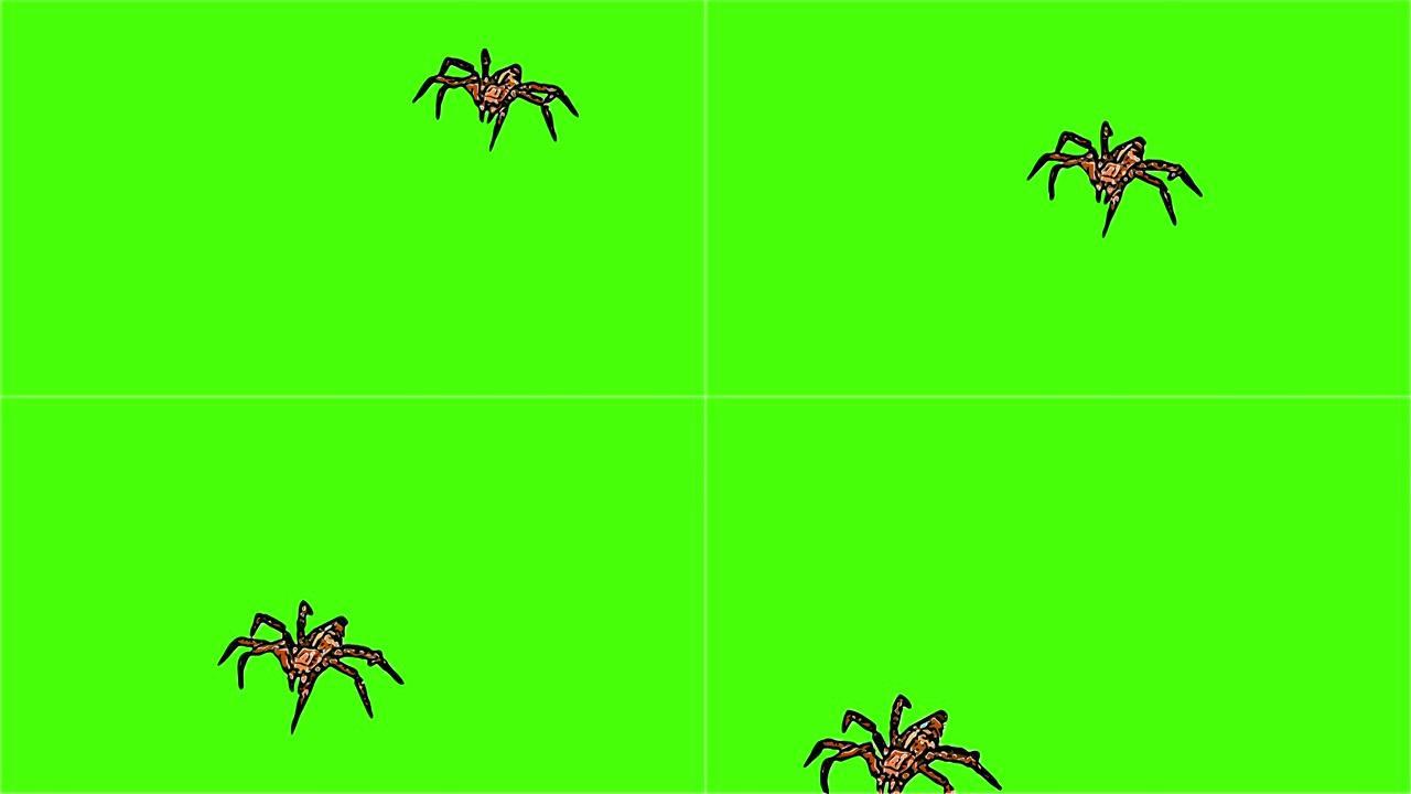 漫画风格的2d动画 -- 绿屏上的蜘蛛爬行