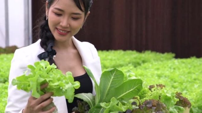 水培菜农笑容满面，在菜园里干活。在智能农场种植水培绿色蔬菜。