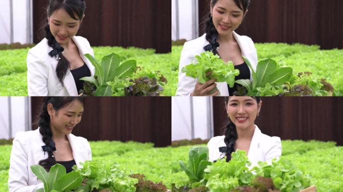 水培菜农笑容满面，在菜园里干活。在智能农场种植水培绿色蔬菜。