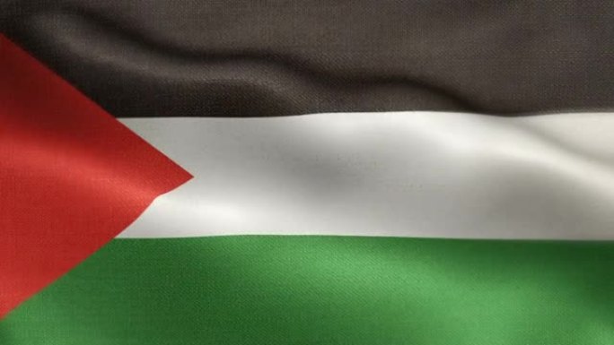 巴勒斯坦国旗动画股票视频-巴勒斯坦国旗挥舞在循环和纹理3d渲染的背景-高度详细的织物图案和可循环-巴