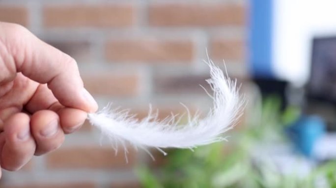 男性手扔鸟羽毛在水疗沙龙4k电影