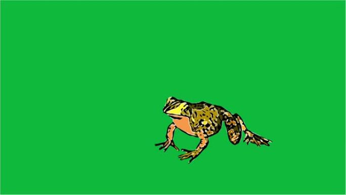 漫画风格的2d动画 -- 青蛙吃、走、跳