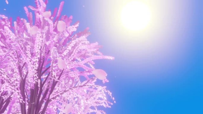 3DCG，被太阳照亮的美丽樱桃树
