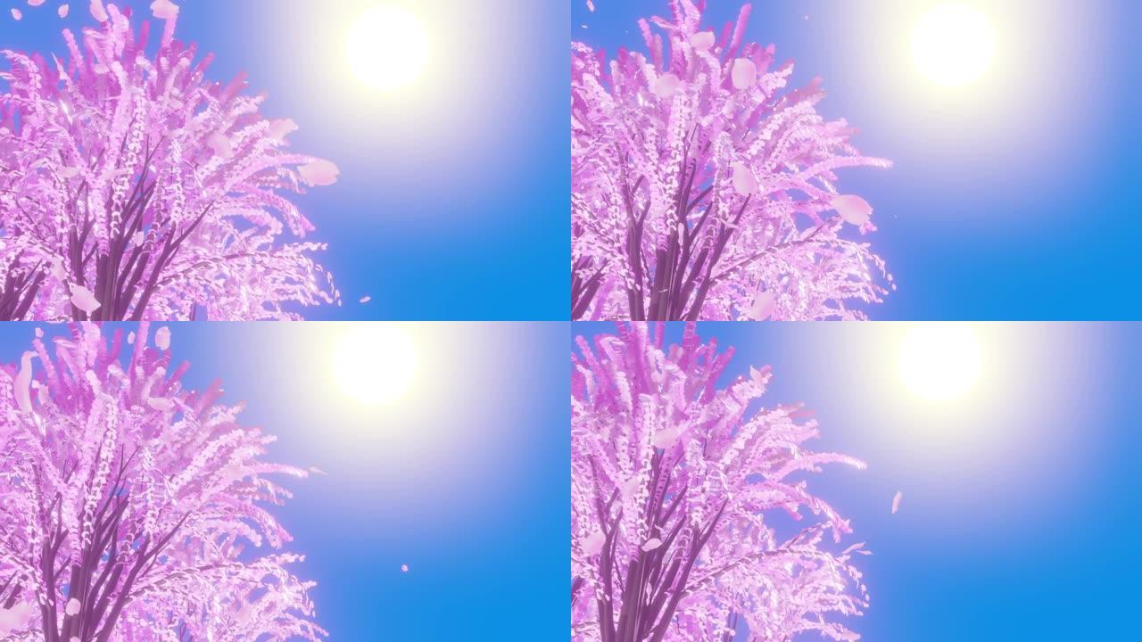 3DCG，被太阳照亮的美丽樱桃树