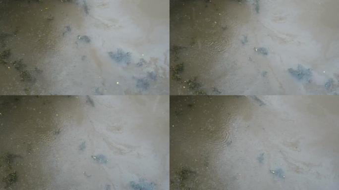 阴天下雨时垃圾和污垢漂浮的水面特写。顶视图。天气不好。环境污染。4K。