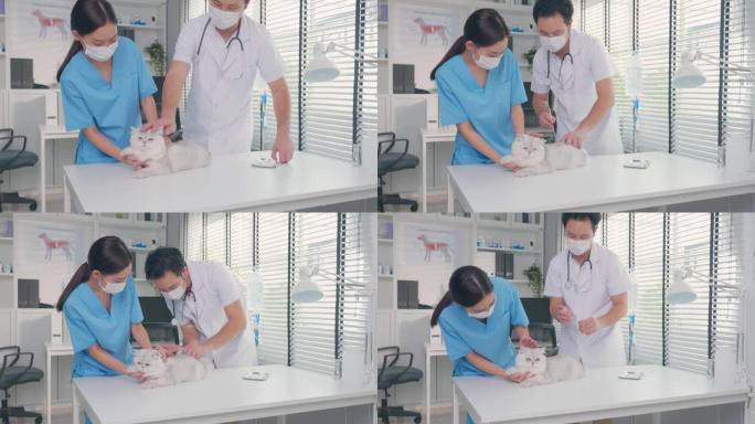 亚洲兽医团队男人和女人在兽医诊所检查猫。兽医医生站在检查台上，在宠物医院用注射器注射给戴着项圈的小动