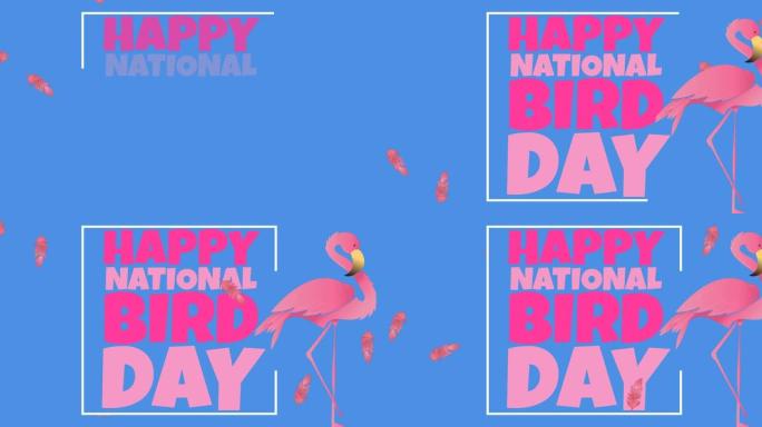 国家鸟类日的动画文本在粉红色，火烈鸟和下降的粉红色羽毛，在蓝色
