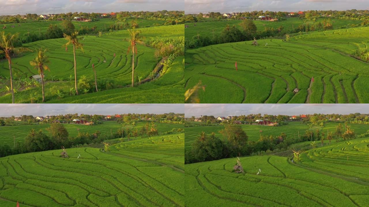 阳光明媚的巴厘岛著名的米台空中全景4k印度尼西亚