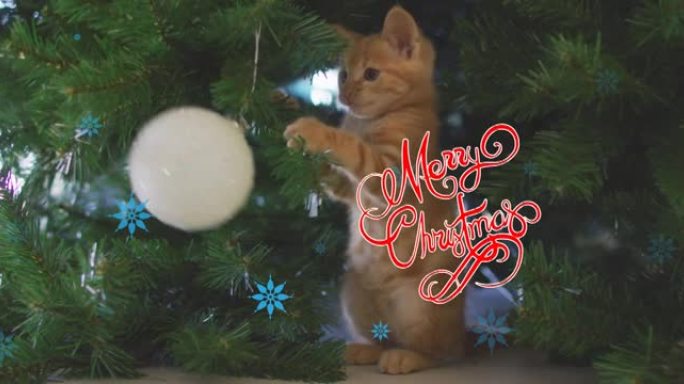 猫和圣诞树上的圣诞快乐文字动画