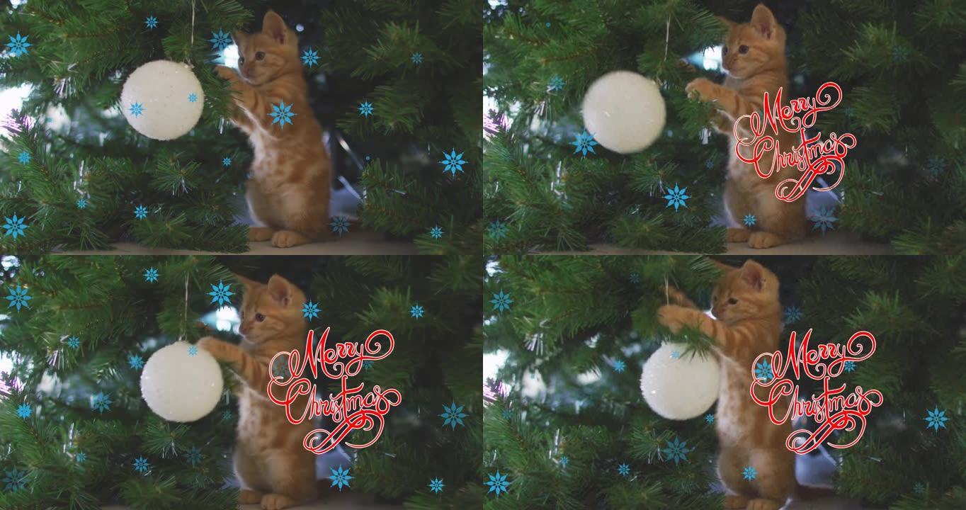 猫和圣诞树上的圣诞快乐文字动画