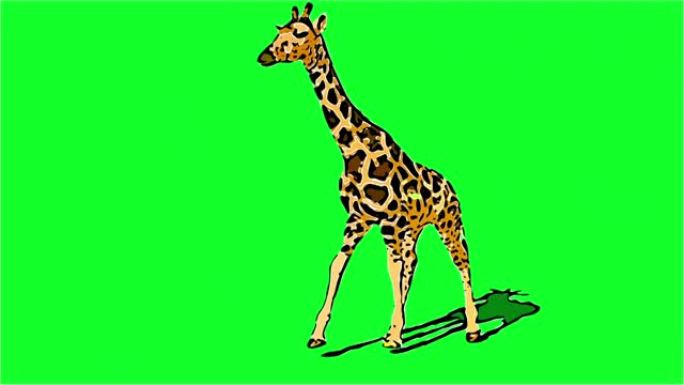 漫画风格的2d动画 -- 长颈鹿行走