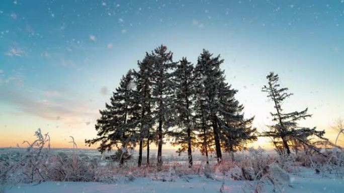 迷人的冬季风景与浪漫的雾蒙蒙的日落。冬雪森林里的软降雪。冬季日落的时间流逝