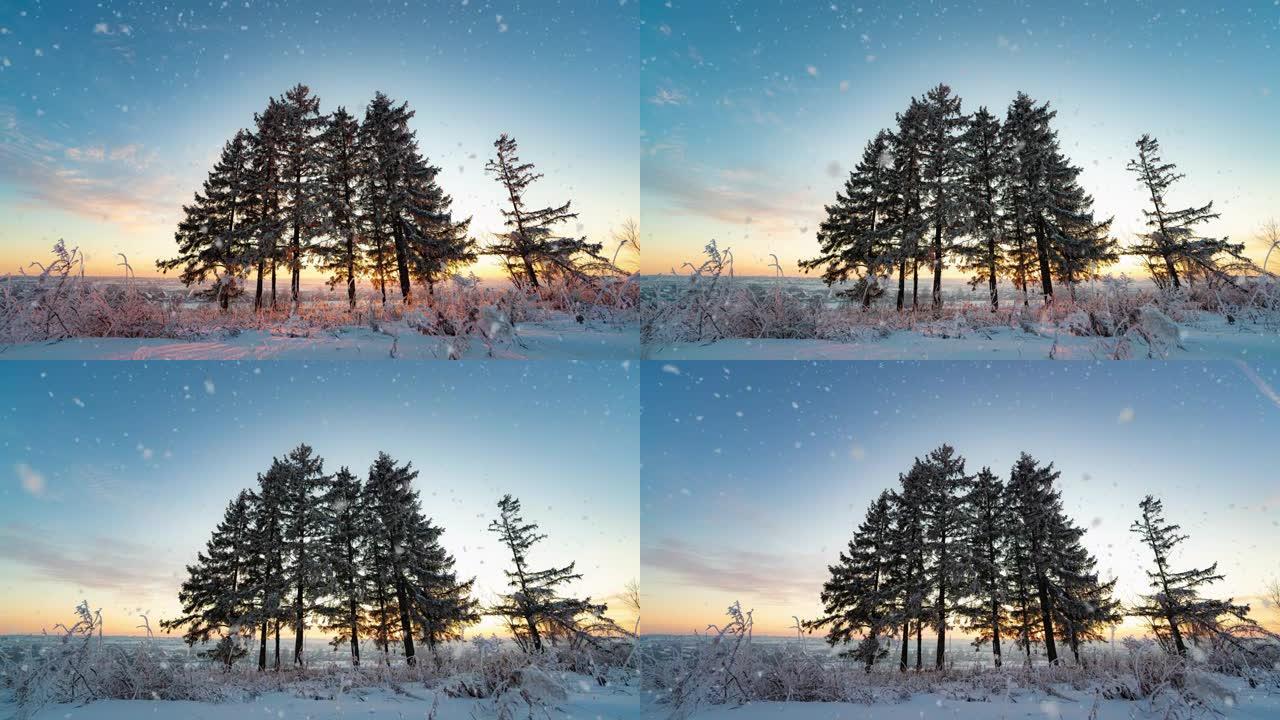 迷人的冬季风景与浪漫的雾蒙蒙的日落。冬雪森林里的软降雪。冬季日落的时间流逝