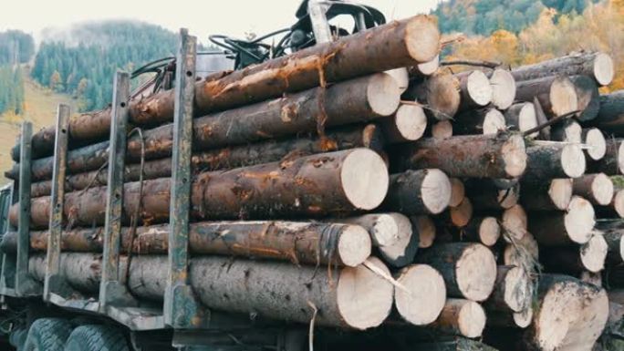 一辆装有新鲜锯木的大型卡车。树干整齐地排成一排。在山路上的卡车上运输木材。带拖车的工业卡车运输新锯原
